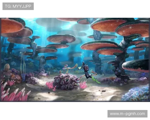 PG官网电脑版官网入口全面优化，确保玩家安全顺畅地进入官方游戏平台